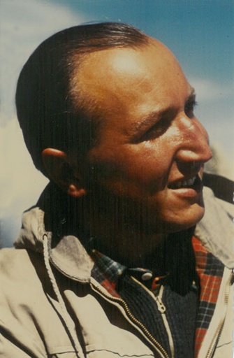 Dr. Johann Schweighofer