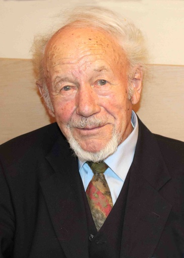 Ing. Walter Klinger