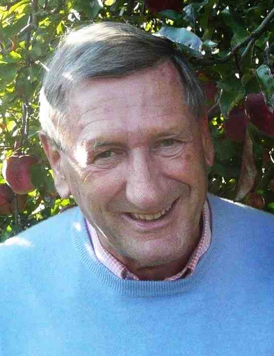 Dr. Dionys Lehner