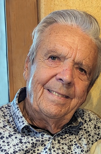 Ing. Siegfried Stoiber