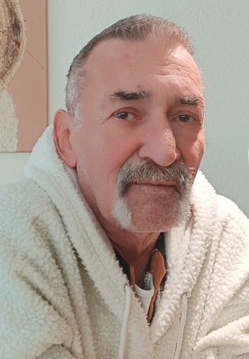 Helmut Brandstetter  