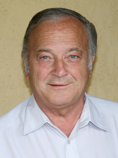 Friedrich Brandstetter  