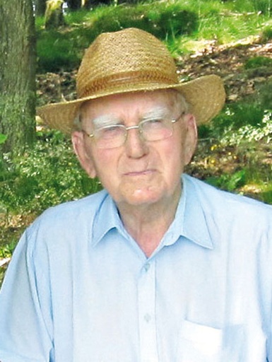 Alois Brandl
