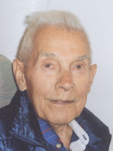 Alfred Forstner