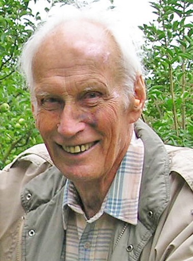 Ing. Walter Auer